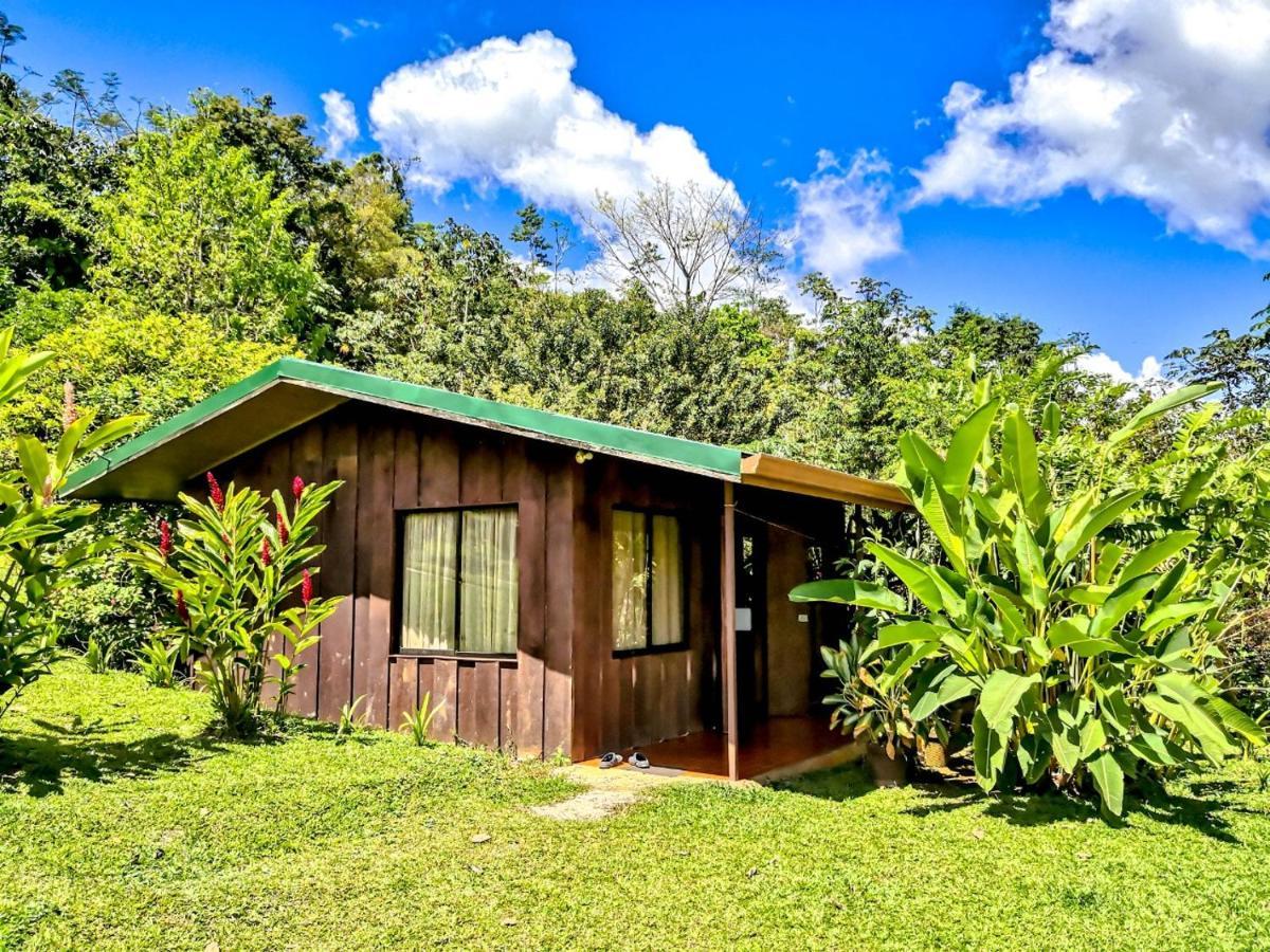 Cabanas Montanas Del Tenorio Rio Celeste Екстер'єр фото